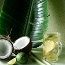 Harney & Sons Organic Green With Citrus & Gingko Fresh Brew Iced Tea | 15Ct, Brews Up To 30 Quarts Of Iced Tea