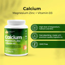Health Pyramid Calcium Magnesium Zinc With Vitamin D3 Supplement For Strong Bones And Teeth Cal Mag Zinc Supports Nerve And Muscle Health 100 Vegan Tablets