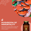 Healthforce Superfoods Integrity Extracts Reishi - Powder - 65 Grams