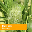 Herb Pharm Certified Organic Corn Silk Liquid Extract For Urinary System Support, 1 Fl Oz