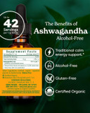 Herb Pharm Organic Ashwagandha Liquid Extract, Alcohol-Free: Mood Support Supplement, Vegan Ashwagandha Root Glycerite, Tasty Non-Bitter Adaptogen Extract For Adults, Non-Gmo, 1 Oz