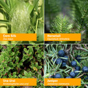 Herb Pharm Urinary System Support Liquid Herbal Formula - 4 Ounce