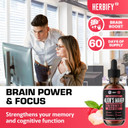 Herbify Lions Mane Supplement - Daily Mushroom Supplement For Memory, Focus & Clarity - Brain Booster - Lions Mane Tincture For Natural Immune Support - 4 Fl Oz Raspberry Flavor