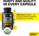 Herbify Mullein Capsules - Lung Cleanse - Leaf Extract - Powerful Mullein For Immune Support, Detox & Respiratory Support - Made In Usa - Herbal Supplements - 120 Capsules