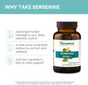 Himalaya Berberine For Balanced Support, Digestion & Immune System Support, 500 Mg, 60 Vegetarian Capsules, 1 Month Supply