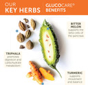 Himalaya Glucocare, 3 Week Supply - Herbal Glucose Metabolism And Pancreatic Support With Triphala, Turmeric, Bitter Melon, And Gymnema - Vegan, Non-Gmo, Gluten Free, 90 Capsules