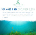 Holistic Bin Organic Sea Moss Capsules 100% Pure Caribbean Sea Moss + Dulse Seaweed | Wild Harvested | No Fillers | Rich In Antioxidants, Minerals, And Iodine (40 Capsules)