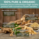 Holistic Bin Tongkat Ali Extract Powder  Premium Longjack Harvested From Sumatran Forests  Herbal  No Fillers Or Preservatives  50 Grams