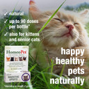 Homeopet Feline Digestive Upsets, Safe And Natural Cat Digestive Support, 15 Milliliters