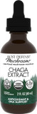 Host Defense Chaga Extract - Immune System Support Supplement - Chaga Mushroom For Antioxidant Activity Support - Liquid Dietary Mushroom Supplement - 1 Fl Oz (30 Servings)