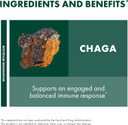 Host Defense Chaga Extract - Immune System Support Supplement - Chaga Mushroom For Antioxidant Activity Support - Liquid Dietary Mushroom Supplement - 1 Fl Oz (30 Servings)