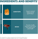 Host Defense Cordychi Extract - Energy & Immune Support Supplement - Cordyceps & Reishi Mushroom Supplement For Relaxation & Respiratory Support - Aids Against Tiredness - 1 Fl Oz (30 Servings)