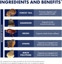 Host Defense Mycoshield Throat Spray - Immune Health Support - Dietary Mushroom Supplement With Chaga, Reishi, Turkey Tail & More - On-The-Go Immune Support - Peppermint, 1 Fl Oz (71 Servings)