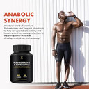 Humanx Turkesterone & Tongkat Ali 900Mg - Supports Energy, Stamina, And Muscle Recovery And Growth - Turkesterone Supplement - Tongkat Ali Supplement - Long Jack Extract (Eurycoma Longifolia)