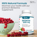 Hybrid Nutraceuticals Berberine 1200Mg - Concentrated Berberine Hcl Formula - Immune Support, Digestive Support - Gluten-Free 60 Capsules