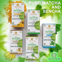 Hyleys Matcha Tea Bags With Moringa Oleifera - 25 Tea Bags (Japanese Pure Matcha Wellness Green Tea)