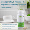 Igennus High Strength Ashwagandha Stress Relief Complex, L-Theanine & Magnesium & Ksm-66 Root Extract Adaptogens, Methylated B Vitamins, Calm & Sleep Support, Clean Label, 60 Vegan Capsules