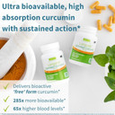 Igennus Longvida Lipidated Curcumin 500Mg, Ultra Bioavailable & Sustained Action, 65X Higher Plasma Levels, Intensive Support, Free-Form Curcumin, Vegan, 90 Capsules