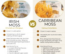 Irish Sea Moss From Ireland | Wildcrafted | Chondrus Crispus | Raw Irish Moss | Golden
