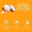 Jigsaw Health Bundle | Jigsaw Adrenal Cocktail Electrolyte Supreme Jar, Fruit Punch, 60 Servings