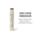 Jillian Dempsey Spot Stick Concealer | Easy Blending Matte Concealer For Blemishes & Uneven Skin Tones | Shade No. 09: Medium With Olive Undertones