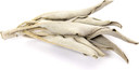 Juniper Ridge | White Sage Loose Leaves | Salvia Apiana Clusters | Dry Burning White Sage | 1 Lb Bag