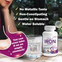 Labo Nutrition Femme Iron Endosomal Sunactive, Non-Irritating 15Mg Iron Supplement For Blood Builder, Vegan, Gentle, No Metallic Aftertaste, Non Constipating, Ideal For Sensitive Stomachs, 90 Count