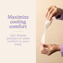 Lansinoh Postpartum Maxi Pads Bundle, 40 Count, Heavy Absorbency Overnight Pads With Wings, Includes 2 Sizes For Extra Protection, Postpartum Essentials