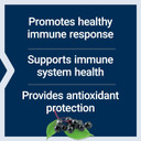 Life Extension Black Elderberry + Vitamin C, Everyday Immune Support From Elderberry & Vitamin C, Gluten Free, Non-Gmo, Vegetarian, 60 Capsules