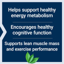 Life Extension Creatine Acetyl-L-Carnitine Energy Plus, Energy Support Supplement, Creatine Monohydrate, Acetyl-L-Carnitine, Gluten-Free, Non-Gmo, Vegetarian, 30 Servings