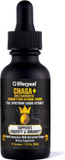 Lifecykel - Organic Chaga Mushroom Extract With Kakadu Plum - Double Extracted Mushroom Tincture - Non-Gmo Immune Support Supplement For Adults And Kids - 4 Fl Oz