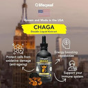 Lifecykel - Organic Chaga Mushroom Extract With Kakadu Plum - Double Extracted Mushroom Tincture - Non-Gmo Immune Support Supplement For Adults And Kids - 4 Fl Oz