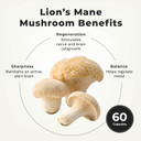 Lifeseasons Essentials Lion'S Mane Mushroom - Support Healthy Brain Function & Emotional Balance - Stimulate Nerve & Brain Cell Growth - Mood Enhancer - 1000Mg Per Serving - 60 Capsules
