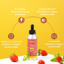 Liposomal Men'S 50+ Liquid Multivitamin Drops | Non-Gmo | Sugar Free | Gluten Free | 30 Day Supply | 3 Fl Oz | Supports Brain Health, Immunity And Energy Production