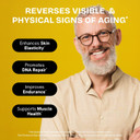 Liposomal Nmnh Supplement (Dihydronicotinamide Mononucleotide) - High Purity Nad For Anti Aging, Energy, Focus - Pure Nmnh Organic 60 Capsules - 300Mg