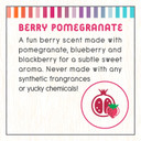 Little Twig Shampoo, Natural Plant Derived Formula, Berry Pomegranate, 17 Fl Oz