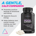 Livingood Daily Mood Support Supplement For Women & Men, 14-In-1 Formula With L Theanine, Lemon Balm, Gaba, Saffron, 5-Htp & B12, Supports Focus & Emotional Wellness, Gluten Free, Vegan, 60 Capsules