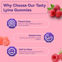 L-Lysine 1000Mg Gummies, Chewable Lysine Supplement For Adults, Essential Amino Acid For Lip Health, Immune Support, Collagen Formation* - Vegan, Gluten-Free, Sugar-Free, 60 Counts