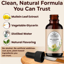 Lung Naturals Mullein Drops For Lungs, 10:1 Concentrated Mullein Leaf Extract For Respiratory Health, Natural Strawberry & Lemon Flavor, Alcohol-Free, 2-Month Supply, 60 Servings