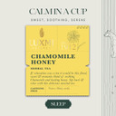 Luxmi Estates - Astounding Ashwagandha - Organic Ashwagandha Tea - Loose Leaf - 100G (50 Cups) | With Ashwagandha, Turmeric, Ginger, Lemongrass & More | Perfect Stress Relief Tea