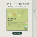 Luxmi Estates Citrus Sky Green Tea 100Gm Tin | Certified Organic Darjeeling Green Tea