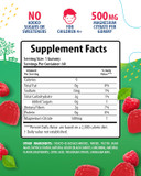 Magnesium Gummies For Kids & Vitamin D3 K2 Gummies 5000 Iu - Immune & Bone Support - Sugar-Free Vitamin D Gummy Supplement - High-Absorption, Vegan, Gluten-Free Gummies For Adults