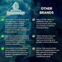 Marine Phytoplankton Capsules By Holistic Bin | Naturally Grown In Nordic Seawater | Vegan Omega 3 Supplement | Rich In Amino Acids, Chlorophyll, Vitamins, & Trace Minerals