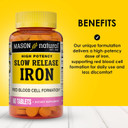Mason Natural Slow,Release Iron (Ferrous Sulfate) 50 Mg Tablets, 180 Day Supply, High Potency Supplement, Gentle On Stomach, 1 Pack