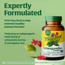 Megafood Ashwagandha Complex (Formerly Stress Protect) - Ashwagandha Supplements Astragalus Root & Holy Basil - Vegetarian, Gluten Free, Cortisol Supplement - 60 Mini Tablets, 30 Servings