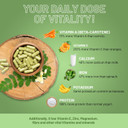 Moringa Capsules 2000Mg - 120 Vegan Moringa Leaves Capsules | Made In Uk By Prowise Healthcare