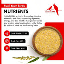 Morning Bird Hulled Millet 1.5 Lb  Nutritious Hulled Millet Seed, Easily Digestible With High Fiber, Rich In Vitamins And Supplements For Birds, Ideal Bird Feed For All Bird Types