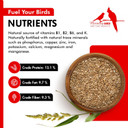 Morning Bird Japanese Millet Seed Bag 1.5 Lbs - Healthy & Nutritious Pet Bird Food To Support Health & Immunity - Rich In Vitamins And Supplements  Ideal Bird Feed For All Seed Eating Birds