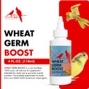 Morning Bird Wheat Germ Boost 2 Fl Oz - Organic Oil For Caged Birds, All Natural Supplement For Parakeets, Budgies, Parrots, Canaries, Conures, Cockatiels, And Finches