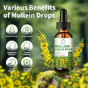 Mullein Drops For Lungs, 16-In-1 Mullein Leaf Extract For Lung Cleanse, Respiratory, Immunity, With Quercetin, Marshmallow, Black Cumin Seed, Elderberry, Mullein Liquid, Non-Gmo, 2 Fl Oz